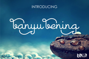 Banyu Bening Font for Editorial Design