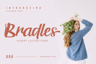 Bradles Font for Professional Branding